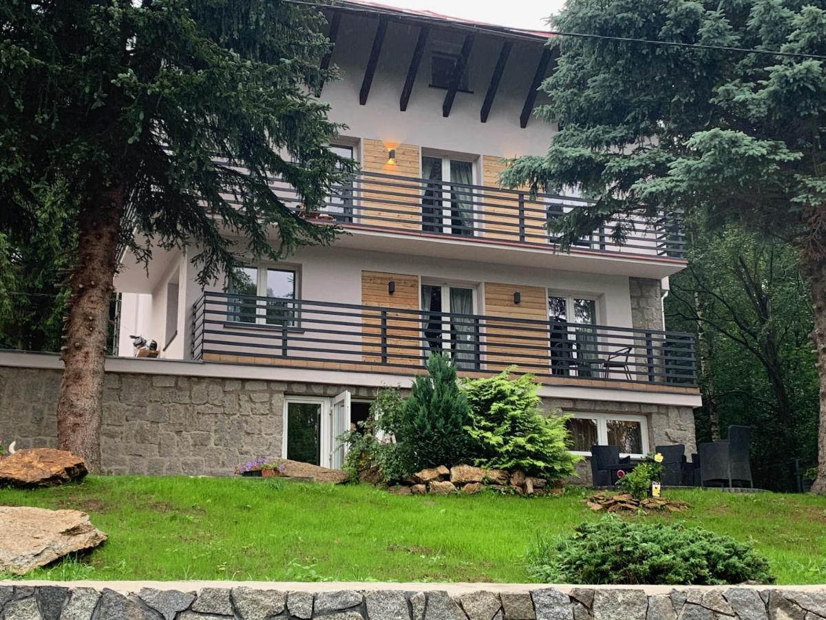 Appartement Na Stoku à Świeradów-Zdrój Extérieur photo