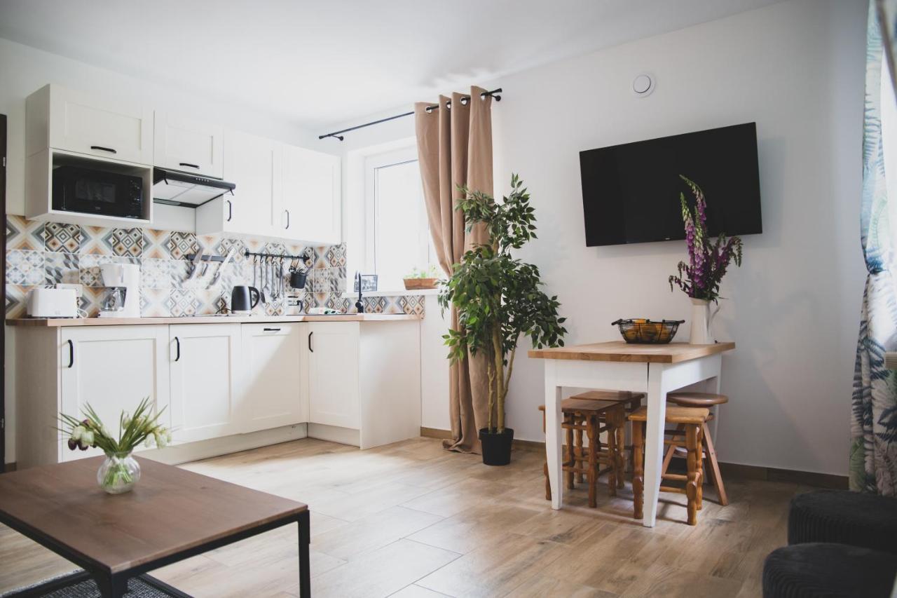 Appartement Na Stoku à Świeradów-Zdrój Extérieur photo