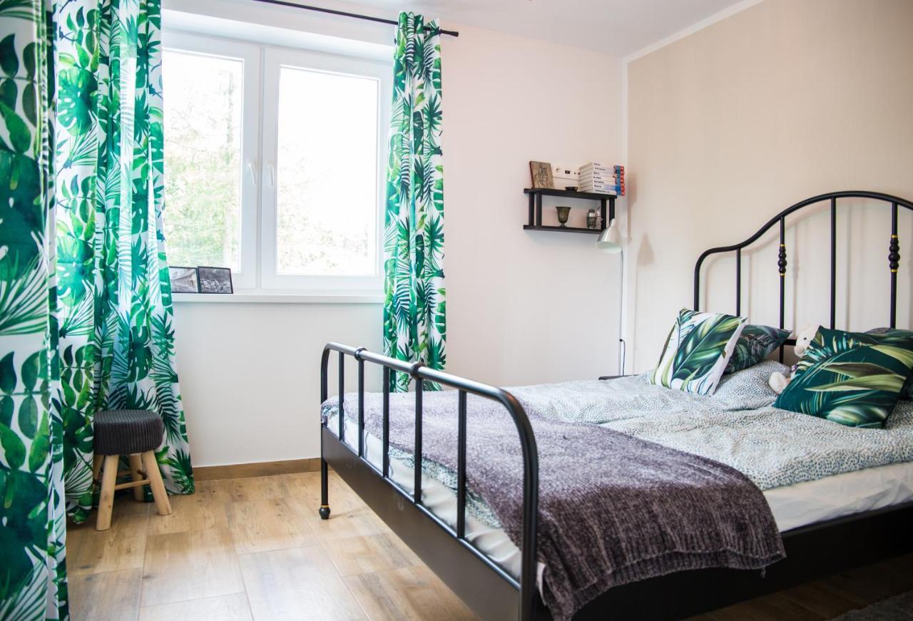 Appartement Na Stoku à Świeradów-Zdrój Extérieur photo