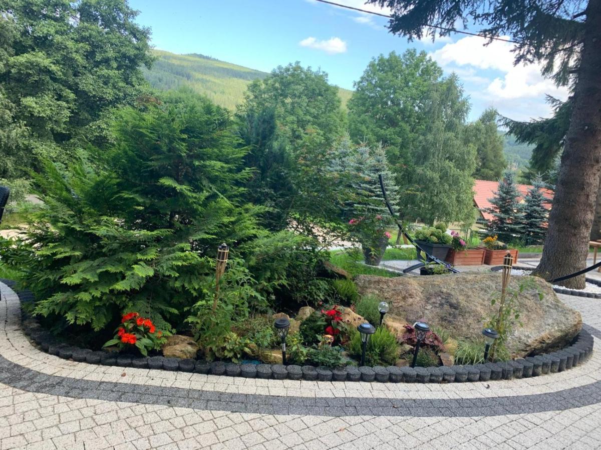Appartement Na Stoku à Świeradów-Zdrój Extérieur photo