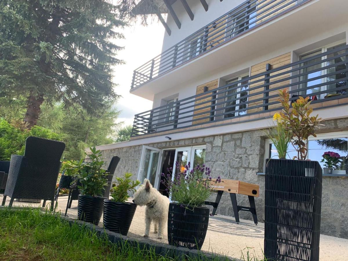 Appartement Na Stoku à Świeradów-Zdrój Extérieur photo