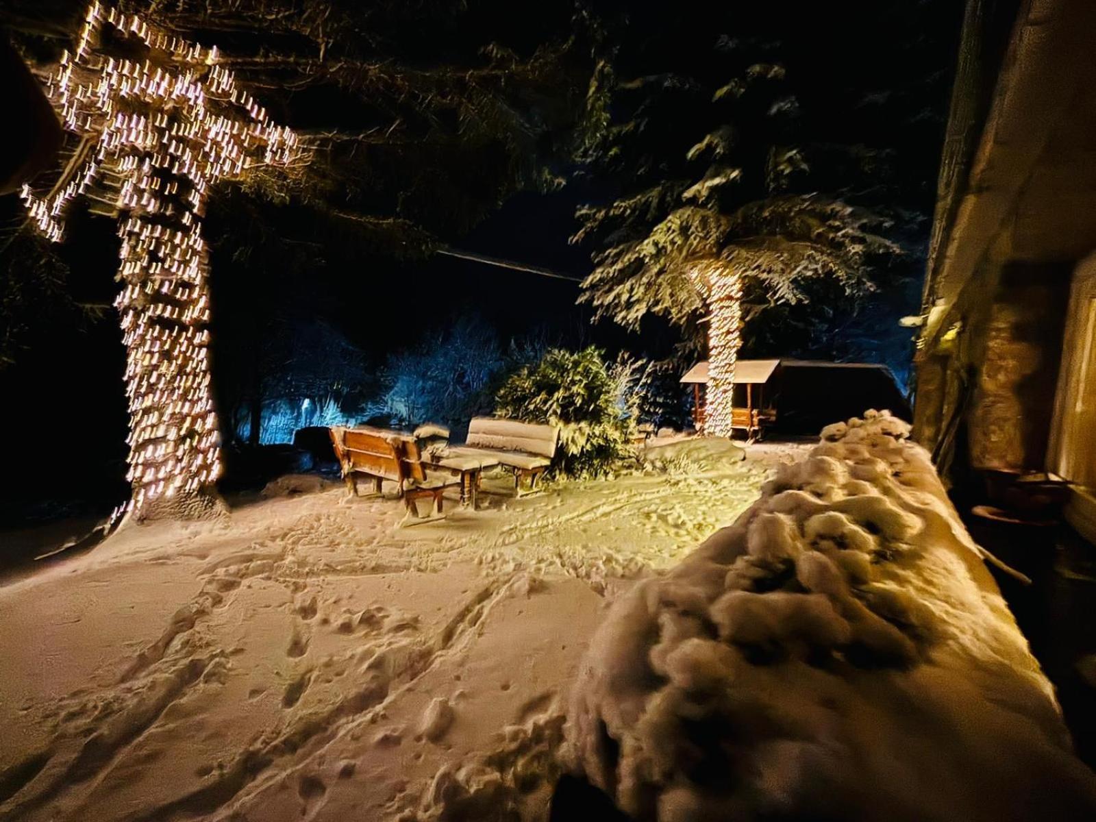 Appartement Na Stoku à Świeradów-Zdrój Extérieur photo